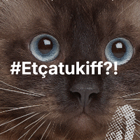 #Etçatukiff?! : Rencontre professionnelle et conférence de presse